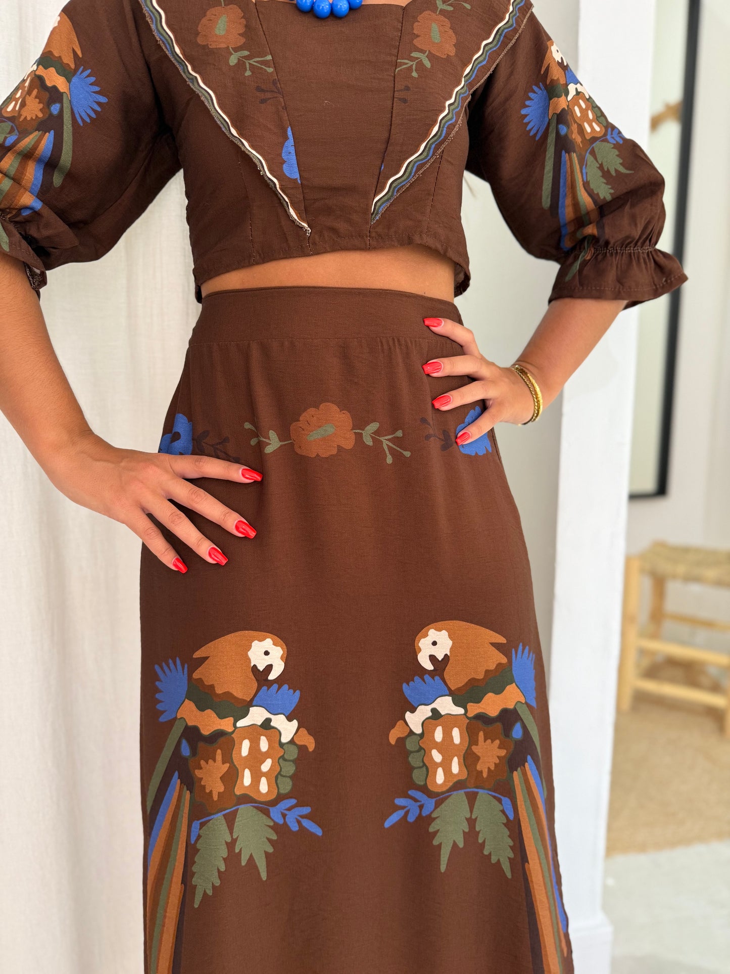 Conjunto “AMAZÓNIA”
