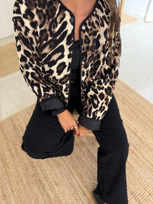 Kispo “LEOPARDO”